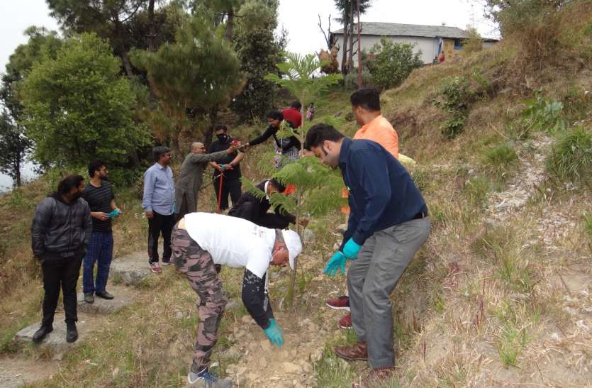 Unique initiativeplantation made Dhauladhar Festival Himachal Pradesh हिमाचल प्रदेश में अनूठी पहल, धौलाधार महोत्सव में वृक्षारोपण कर दिया अनोखा संदेश