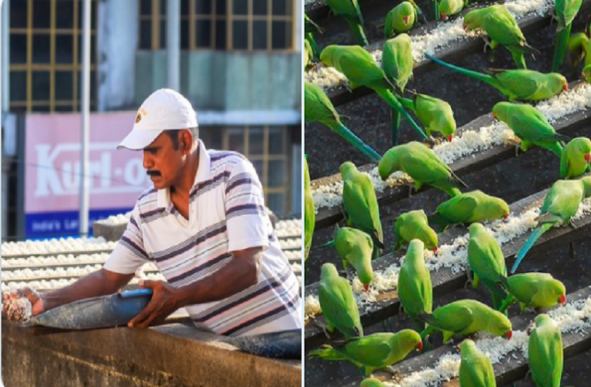 Birdman of Chennai बर्डमैन के नाम से मशहूर ये शख्स, पांच हजार चिड़ियों के बने अन्नदाता