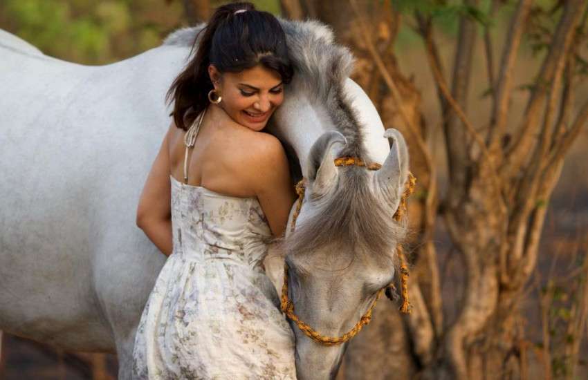 jacqueline_fernandez_pic.jpg