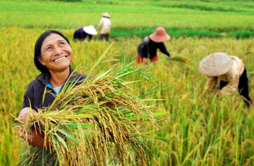 8th installment coming soon PM KISAN: किसानों के लिए खुशखबरी, जल्द आने वाली है खाते में आठवीं किस्त, ऐसे चेक करें अपना नाम