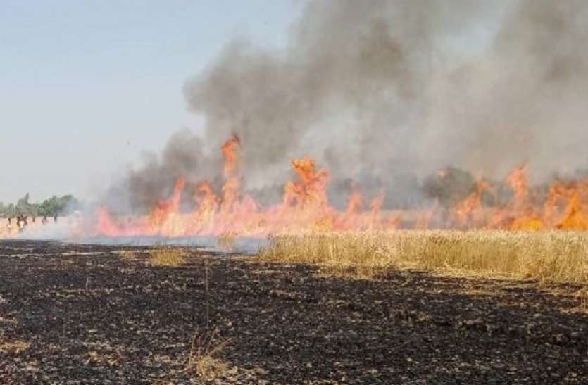 खेतों-खलिहानों में पड़ी गेंहूं की फसल में आग 11 गांवों में 17 एकड़ की फसल आग में जल कर राख