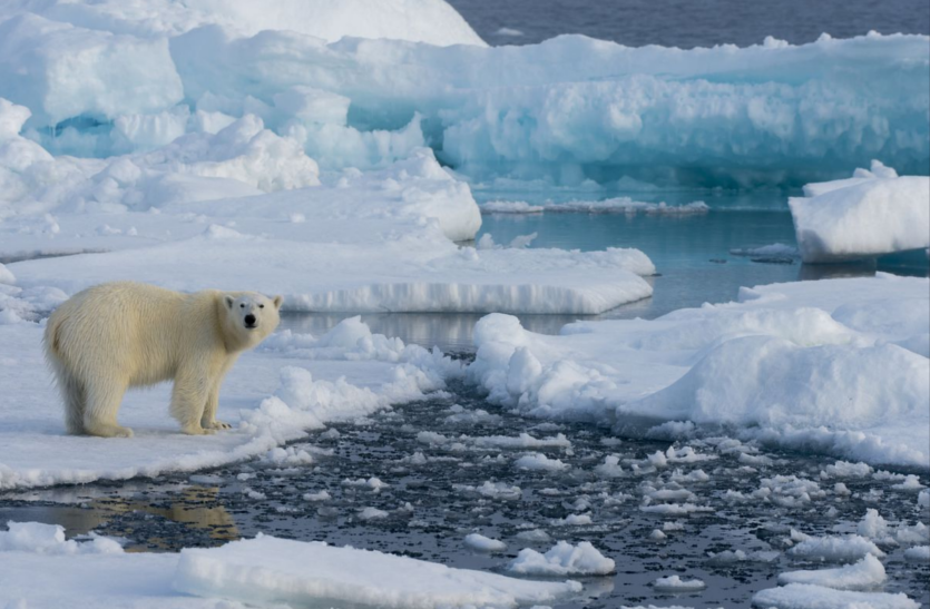 Arctic आर्कटिक में राजस्थान व मध्यप्रदेश जितनी पिघलेगी बर्फ !