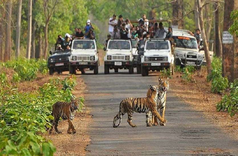 इको सेंसिटिव जोन में कॉलोनी का नियमन नहीं करने पर कमेटी