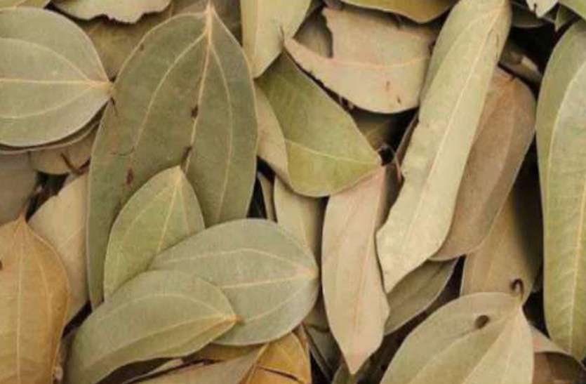 Bay Leaf तेजपत्ते की सुगंध इन बीमारियों से करती है बचाच