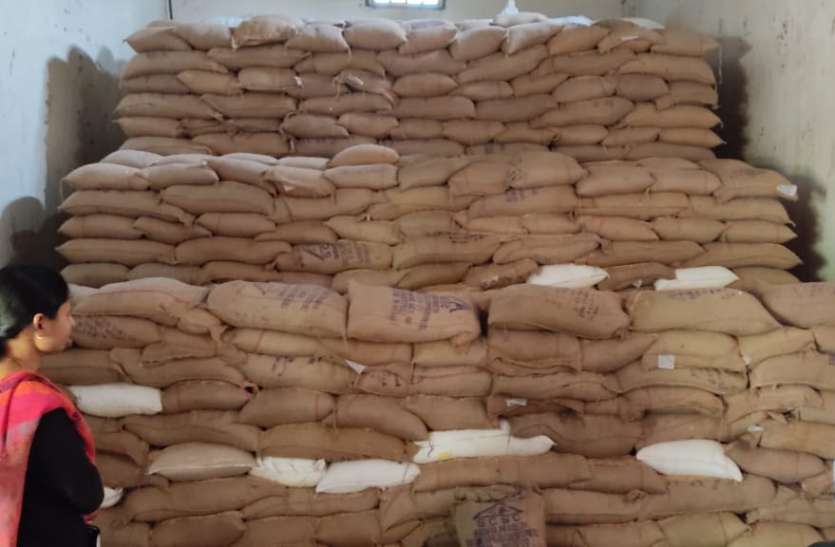 Water spilled into government wheat storage, department prepared inves सरकारी गेहूं के भंडारण में पानी का किया छिडक़ाव, विभाग ने तैयार की जांच रिपोर्ट