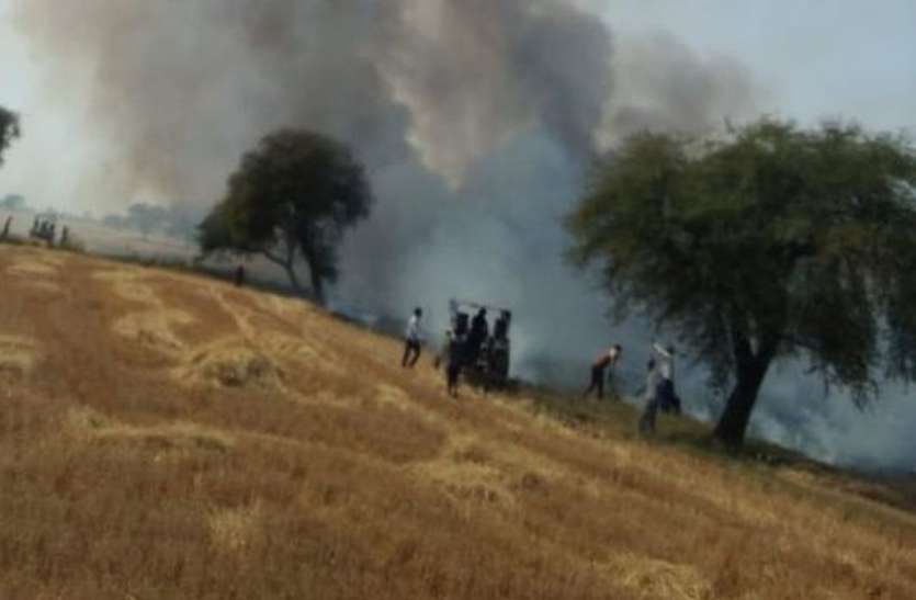 आग की भेंट चढ़ी फसलें, छिन गया मुंह का निवाला आग की भेंट चढ़ी फसलें, छिन गया मुंह का निवाला