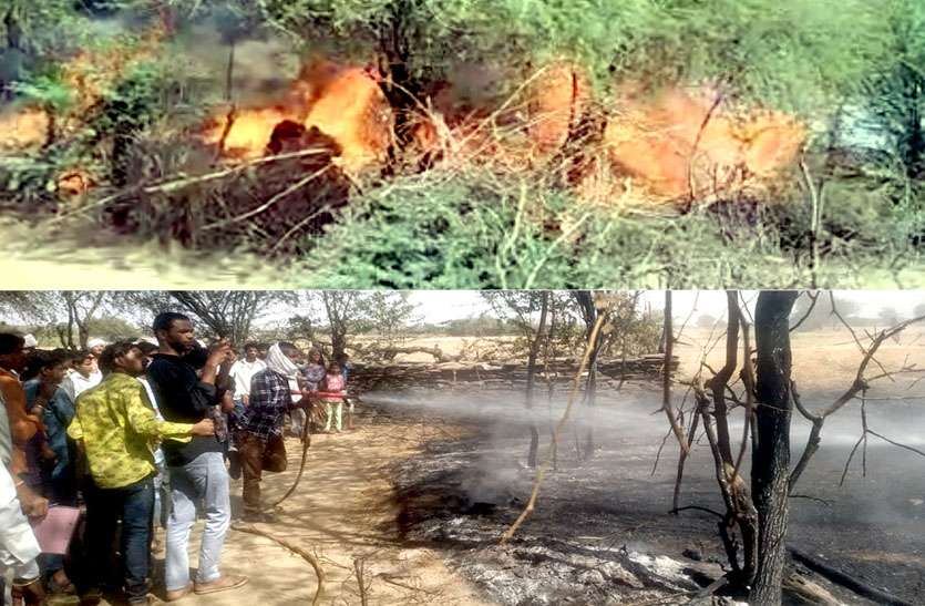 भीषण आग पर तीन घंटे की मशक्कत से पाया काबू, कड़बी सहित सामान जलकर राख भीषण आग पर तीन घंटे की मशक्कत से पाया काबू, कड़बी सहित सामान जलकर राख