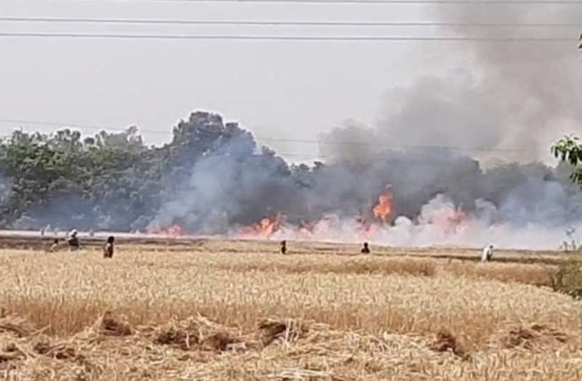 श्रावस्ती में आग से 230 बीघे गेहूं की फसल जलकर राख, दो किसान झुलसे श्रावस्ती में आग से 230 बीघे गेहूं की फसल जलकर राख, दो किसान झुलसे