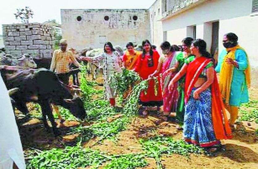 महिलाओं ने उठाया बीड़ा, होने लगी नंदियों की सेवा महिलाओं ने उठाया बीड़ा, होने लगी नंदियों की सेवा