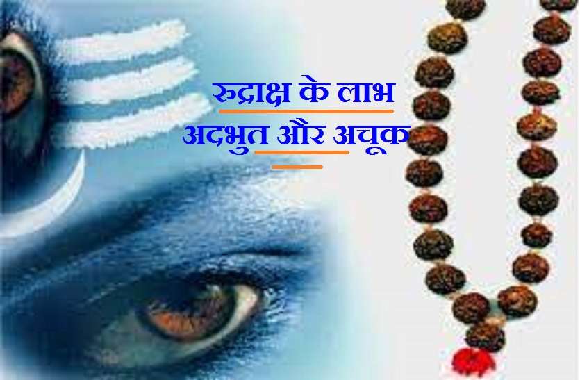 Why Rudraksha is so much important for hindus रुद्राक्ष एक चमत्कार : जानें इसके प्रकार और महत्व
