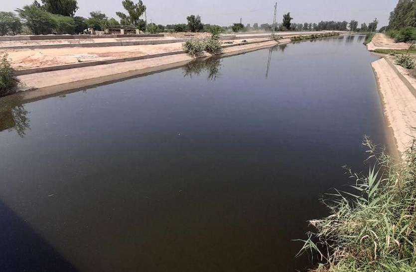 गंगनहर में नहरबंदी शुरू: पंजाब से आ रहा पानी इतना दूषित कि कैमिकल्स के साथ सीवर का भी पानी गंगनहर में नहरबंदी शुरू: पंजाब से आ रहा पानी इतना दूषित कि कैमिकल्स के साथ सीवर का भी पानी