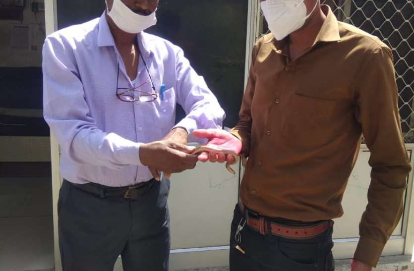 What is this, the snake entered the bhilwara collector's house itself यह क्या,कलक्टर के घर में ही घुस गया सांप