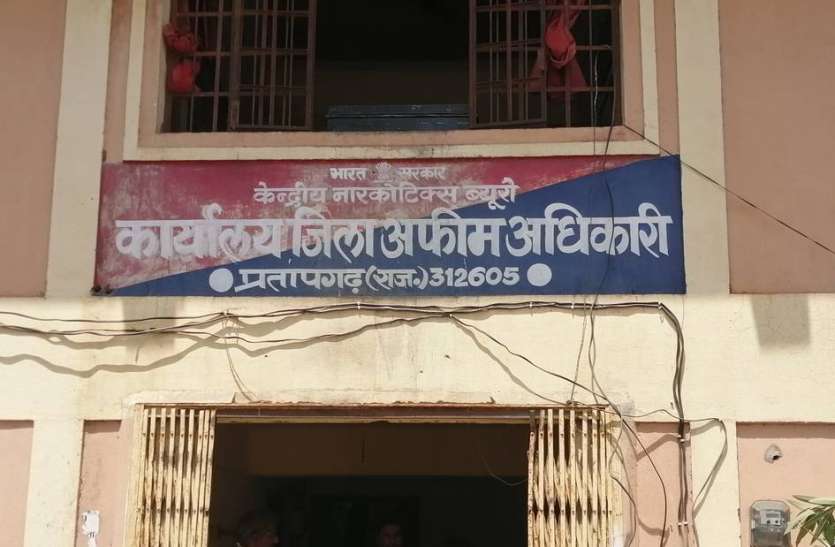 कांठल के सात हजार से अधिक किसानों का तुलेगा काला सोना कांठल के सात हजार से अधिक किसानों का तुलेगा काला सोना