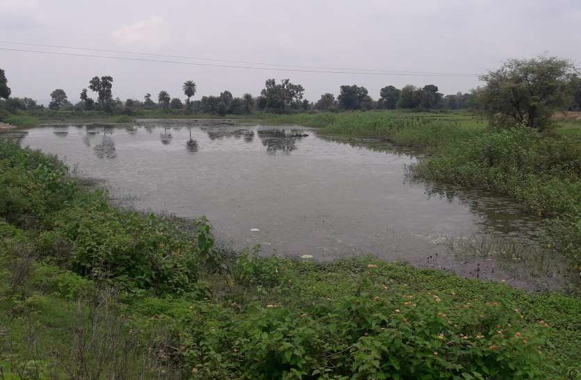 seoni सुरक्षित नहीं रहेगा जल, तो खतरे में आ जाएगा हमारा कल