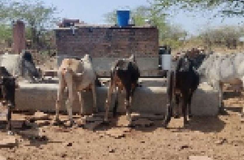गांव के नाम में तालाब, लेकिन पानी को तरस रहे ग्रामीण गांव के नाम में तालाब, लेकिन पानी को तरस रहे ग्रामीण