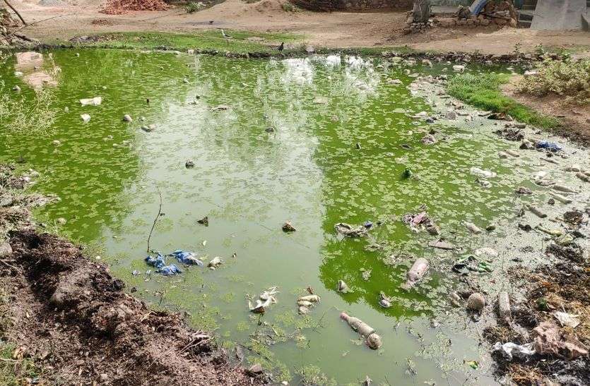 गंदे पानी से तलैया बनी नाथ कॉलोनी गंदे पानी से तलैया बनी नाथ कॉलोनी