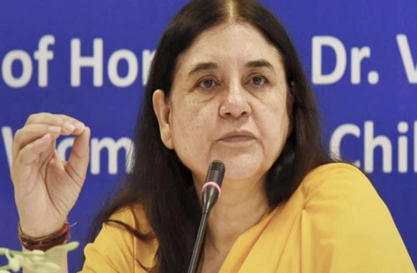 पंचायत चुनाव में अराजकता व गुंडागर्दी बर्दाश्त नहीं : मेनका गांधी पंचायत चुनाव में अराजकता व गुंडागर्दी बर्दाश्त नहीं : मेनका गांधी