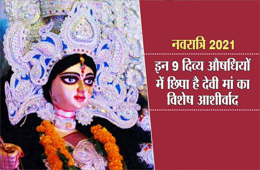 Corona period in Chaitra Navratri 2021 Nine Goddesses of Navratri : नौ देवियों की नौ औषधियां और जानें इस बार कौन का पुष्प लाएगा आपके जीवन में खुशहाली