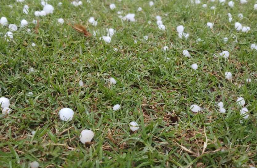 Rainfall in the rain from the sky, damage to crops due to hailstorm आसमान से बरसी आफत की बारिश, ओलावृष्टि से फसलों को नुकसान