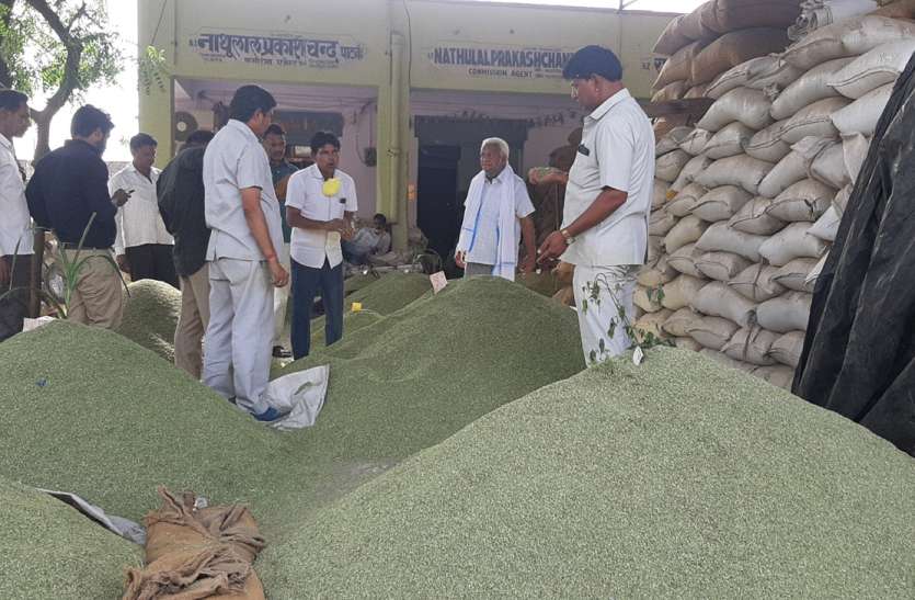 सौंफ की पैदावार आधी, दाम दोगुना सौंफ की पैदावार आधी, दाम दोगुना