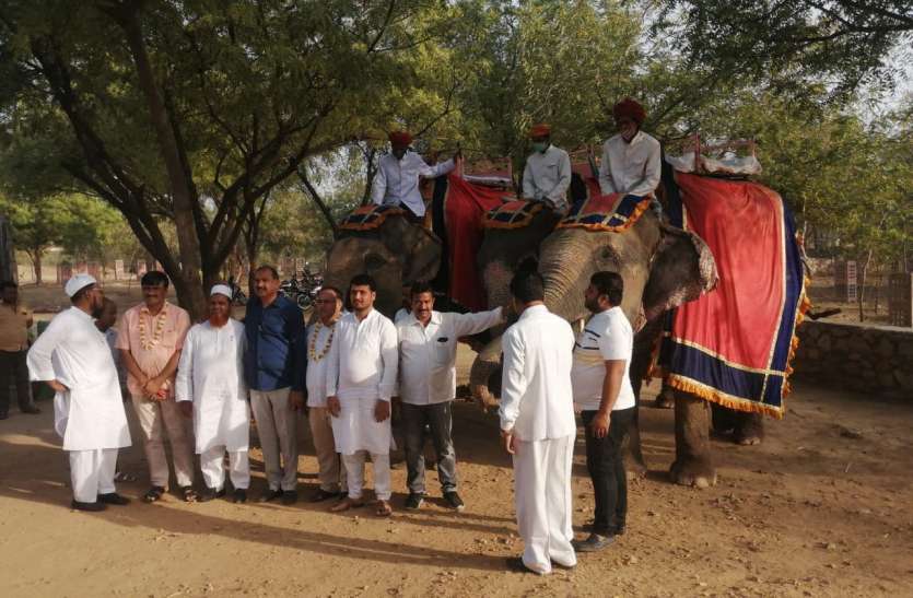 Elephant ride out of Badabandi, Amer Mahal also visited बाड़ेबंदी से निकल हाथी सवारी की, आमेर महल भी घूमा