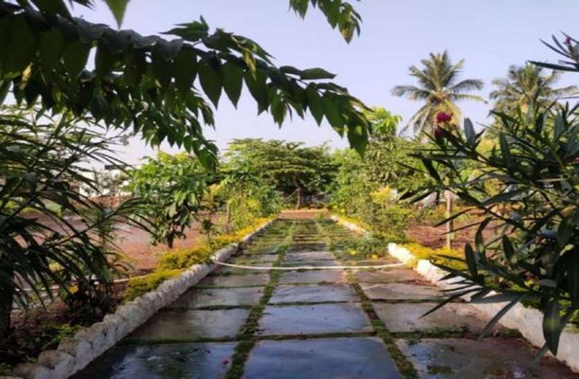 आकर्षण का केन्द्र बना ग्रीन स्कूल, गुणवत्तायुक्त शिक्षा के साथ पर्यावरण से संबधित ज्ञान भी मिल रहा बच्चों को आकर्षण का केन्द्र बना ग्रीन स्कूल, गुणवत्तायुक्त शिक्षा के साथ पर्यावरण से संबधित ज्ञान भी मिल रहा बच्चों को
