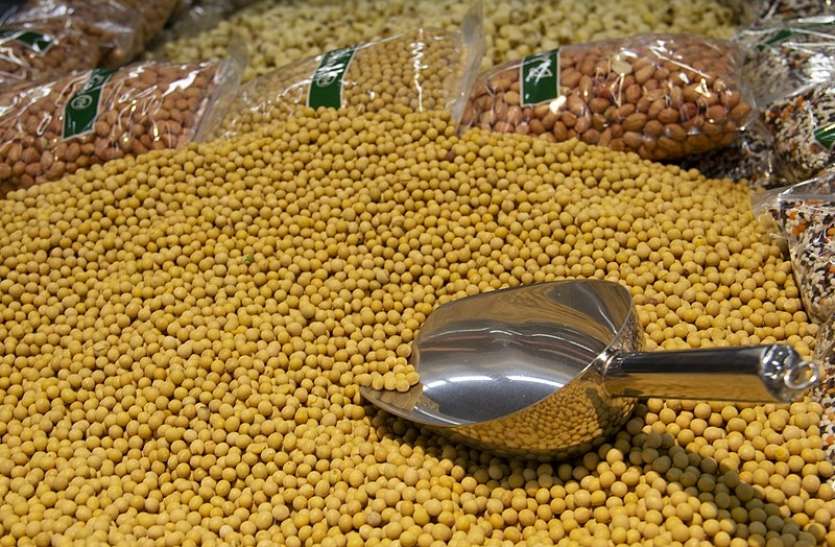 Inflation hits soybean, up 48 percent in 102 days सोयाबीन पर महंगाई की मार, 102 दिनों में 48 फीसदी का इजाफा