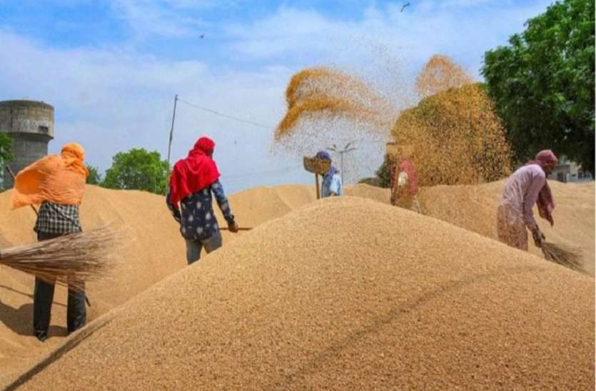 Covid Protocol 2021 भूसा बैंक बनाने का कार्य तेजी से किया जाए Covid Protocol 2021 : गेहूं खरीद के दौरान कोविड प्रोटोकॉल पर विशेष ध्यान दिया जाए:मुख्यमंत्री
