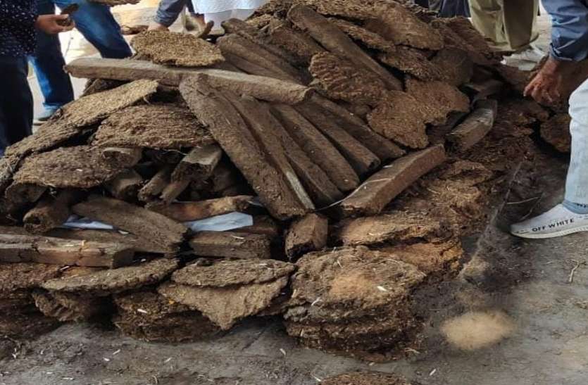 जागरूक हो रहे लोग, दाह संस्कार में हो रहा गौ काष्ठ का उपयोग जागरूक हो रहे लोग, दाह संस्कार में हो रहा गौ काष्ठ का उपयोग