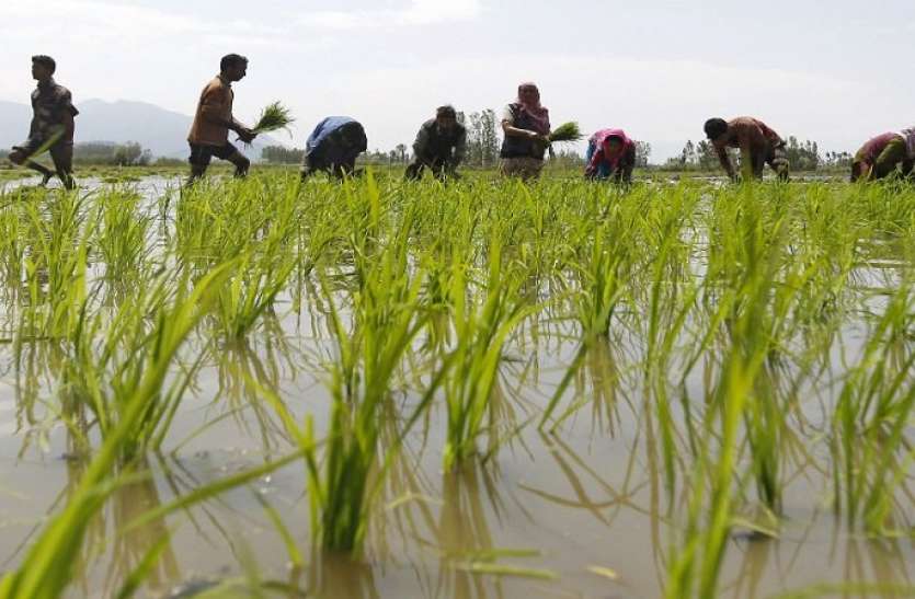 farmer-6-2.jpg हे कृषक! रक्षा करो!!