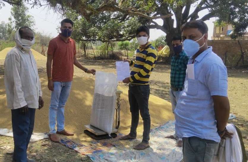 Wheat Procurement Center Podikala Dhimarkheda. समर्थन मूल्य पर गेहूं खरीदी में लॉकडाउन का साया, 12 दिन में 51 किसान ही पहुंचे