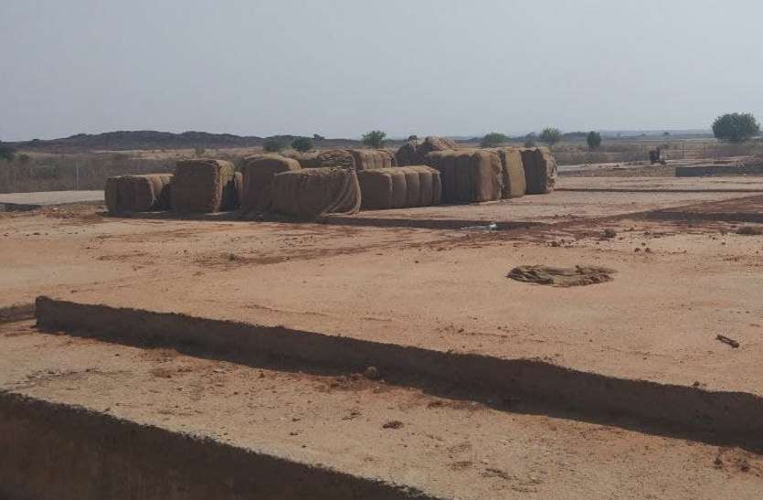 bardane for wheat purchase in Bahoriband open cap.