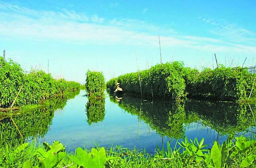 अन्नदाताओं के लिए वरदान हो सकता है बांग्लादेश का कृषि मॉडल अन्नदाताओं के लिए वरदान हो सकता है बांग्लादेश का कृषि मॉडल