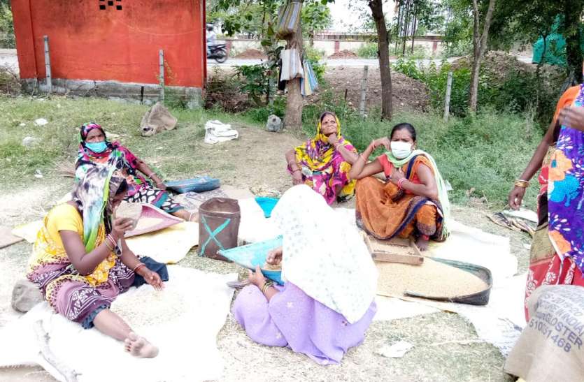 Kitchens cooking after finding grains in the garbage कचरे में दाना ढूंढकर पका रहे रसोई
