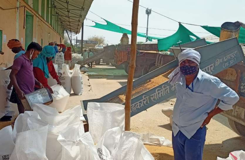 ग्रामीण केन्द्रों पर पल्लेदारो की समस्या कर्ज की राशि काटकर किसानों को मिलेगा फसल का भुगतान, इसलिए मंडी जा रहे किसान