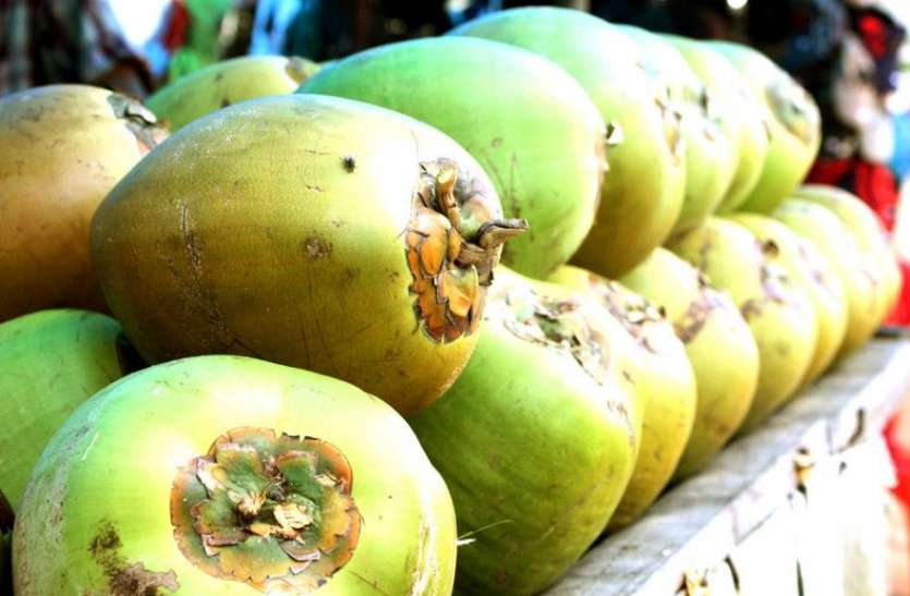 green_coconut_nariyal.jpg कोरोना काल में आसमान में पहुंचे नारियल पानी के दाम, खरीदकर घर में स्टॉक कर रहे हैं लोग
