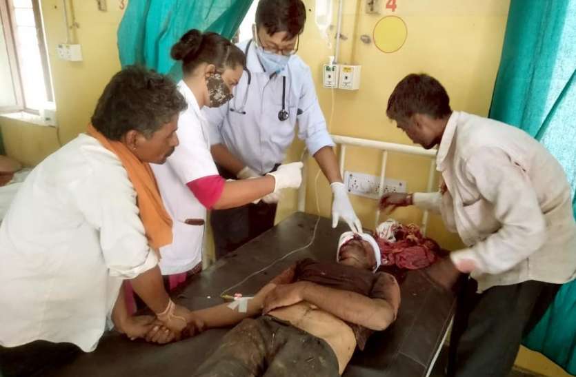 चरवाहे पर हिंसक वन्यजीव का हमला, गंभीर घायल चरवाहे पर हिंसक वन्यजीव का हमला, गंभीर घायल