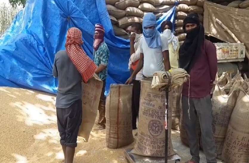 6 एजेंसियों के 162 क्रय केन्द्रों पर हो रही गेहूं खरीद, ऑनलाइन टोकन सिस्टम से किसानों को सहूलियत 6 एजेंसियों के 162 क्रय केन्द्रों पर हो रही गेहूं खरीद, ऑनलाइन टोकन सिस्टम से किसानों को सहूलियत