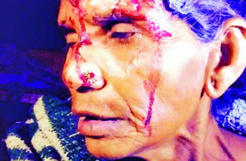 The panther attacked and injured the women सोती वृद्धा का सिर पैंथर ने जबड़े से दबाया
