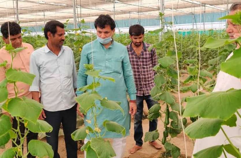 गांवों में बनेंगे कोल्ड स्टोरेज, वेयर हाउस : चौधरी गांवों में बनेंगे कोल्ड स्टोरेज, वेयर हाउस : चौधरी