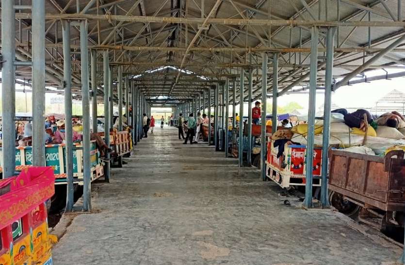 चना बेचने नहीं आ रहे किसान उपार्जन केन्द्रों पर खरीदी की रफ्तार बढ़ी, 57 हजार मीट्रिक टन गेहूं खरीदी हुई