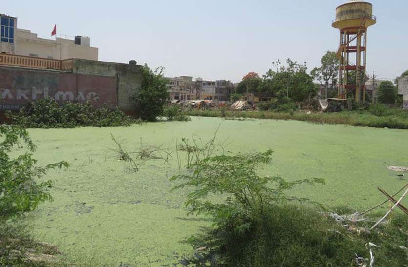 खाली भूखण्ड में जमा पानी बना परेशानी खाली भूखण्ड में जमा पानी बना परेशानी