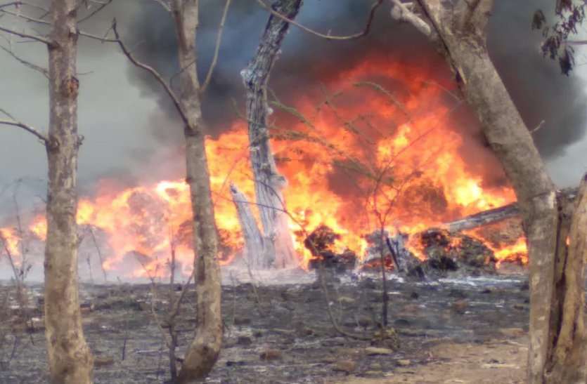 जिस दौर में ऑक्सीजन की सबसे ज्यादा जरूरत वहीं एक लापरवाही से जलकर खाक हो गए सैकड़ों हरे पेड़, ट्रेंचिंग ग्राउंड में भीषण आग