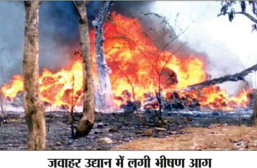 जिस दौर में ऑक्सीजन की सबसे ज्यादा जरूरत वहीं एक लापरवाही से जलकर खाक हो गए सैकड़ों हरे पेड़, ट्रेंचिंग ग्राउंड में भीषण आग जिस दौर में ऑक्सीजन की सबसे ज्यादा जरूरत वहीं एक लापरवाही से जलकर खाक हो गए सैकड़ों हरे पेड़, ट्रेंचिंग ग्राउंड में भीषण आग