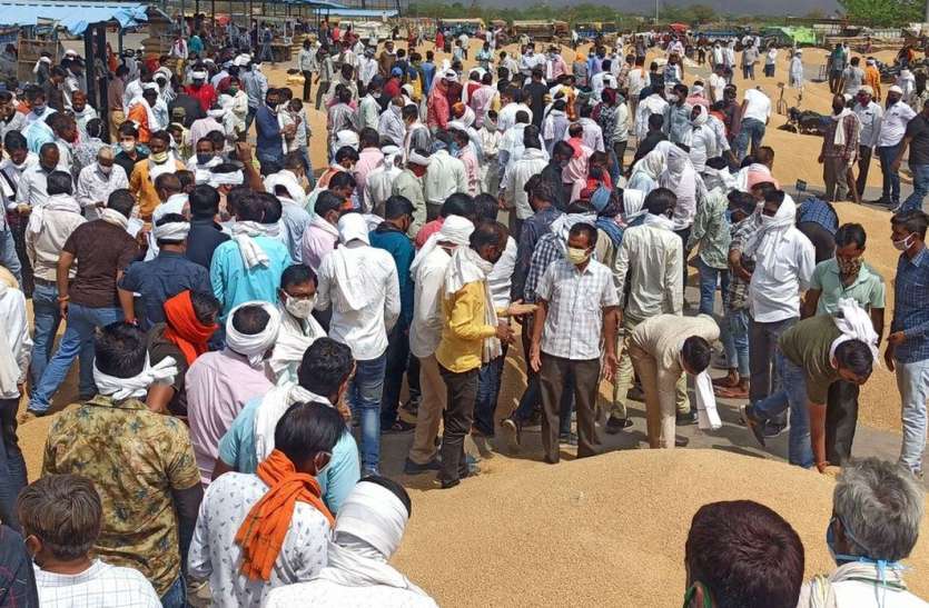 नीलामी के वक्त नहीं हो सकी सोशल डिस्टेंसिंग की पालना नीलामी के वक्त नहीं हो सकी सोशल डिस्टेंसिंग की पालना