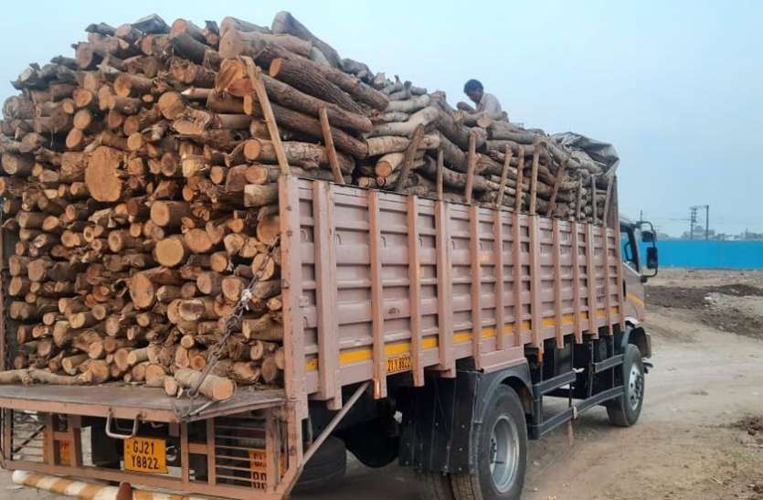 SURAT NEWS: मोक्षधाम में दे रहे हैं लकड़ी का योगदान SURAT NEWS: मोक्षधाम में दे रहे हैं लकड़ी का योगदान