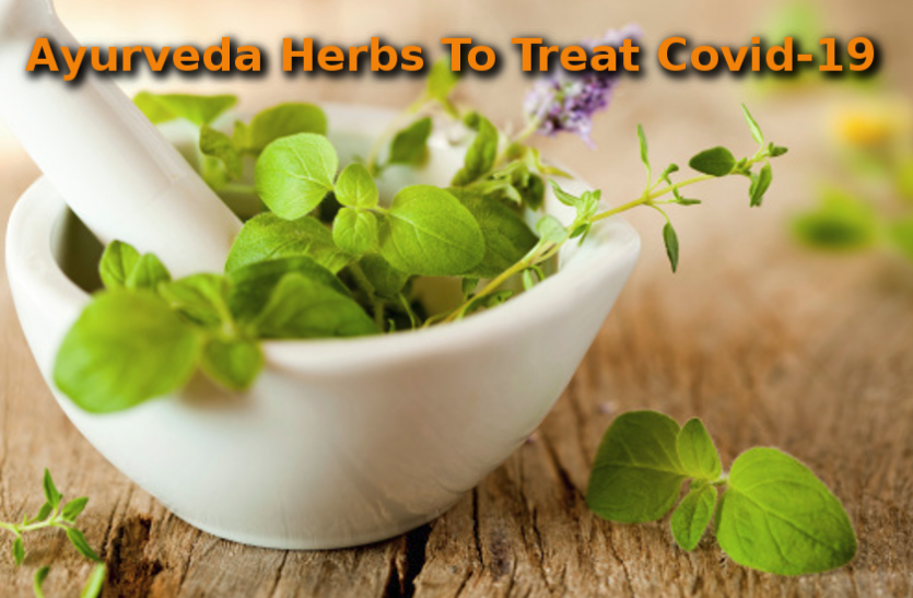 Post Covid Patients: Ayurveda Doctors Give Tips For Post Covid कोरोना से ठीक हुए मरीज लेकिन कमजोरी बरकरार, आयुर्वेद चिकित्सकों बता रहे क्या उपाय करें आमजन