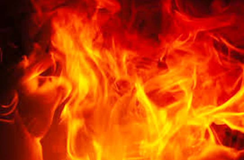 fire बंद ऑयल मिल में लगी आग, एक दर्जन बंदरों की झुलसने से मौत