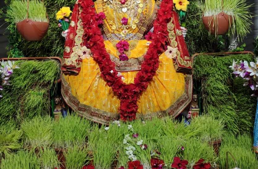 tripur sundari devi जवारों से किया माई का दिव्य श्रृंगार
