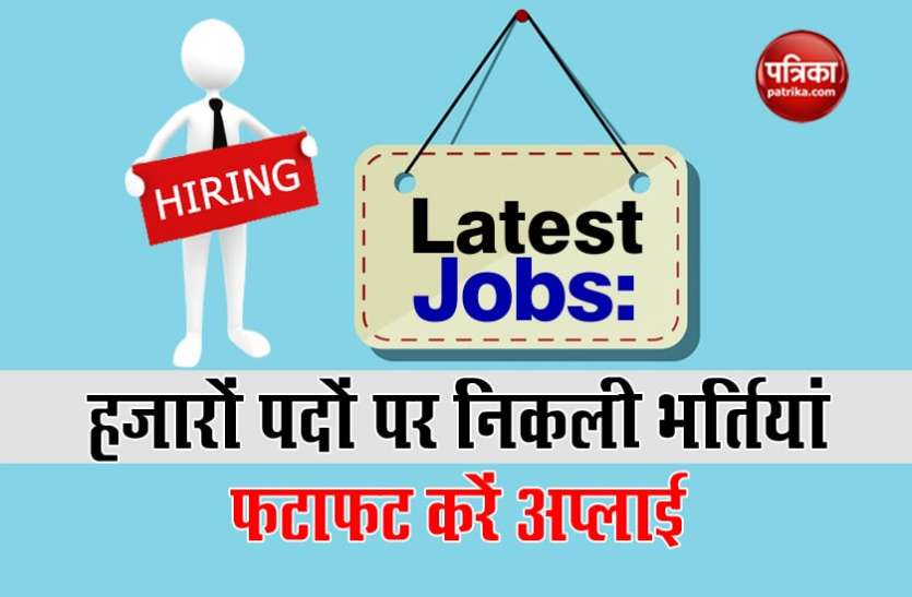 government jobs Government jobs: हजारों पदों पर निकली सरकारी नौकरियां, जल्द करें अप्लाई
